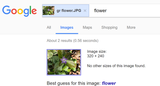 google reverse 4 flower